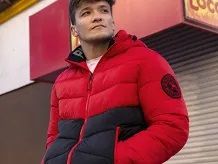 Geci Pitbull